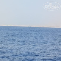 фото из отзыва ID 2687876