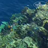 фото из отзыва ID 2687876