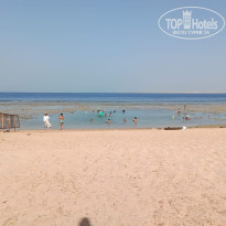 фото из отзыва ID 2687876