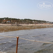 фото из отзыва ID 2687876