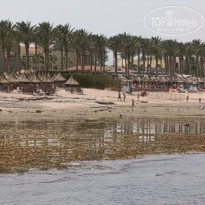 фото из отзыва ID 2687876