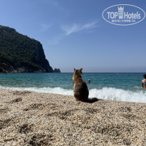 фото из отзыва ID 2689770