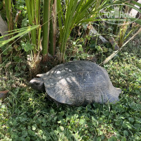 фото из отзыва ID 2689770