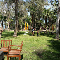 фото из отзыва ID 2689851