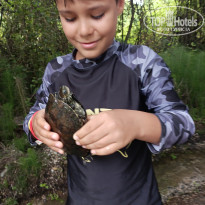 фото из отзыва ID 2689851