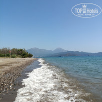 фото из отзыва ID 2689851