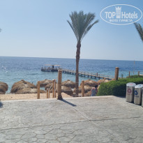 фото из отзыва ID 2689867