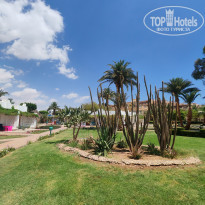 фото из отзыва ID 2689891