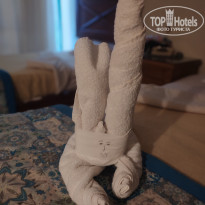 фото из отзыва ID 2689891