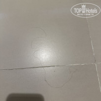 фото из отзыва ID 2689910