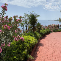 фото из отзыва ID 2689928