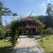 фото из отзыва ID 2689977
