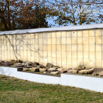 фото из отзыва ID 2688936