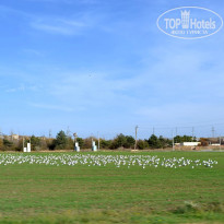 фото из отзыва ID 2688936