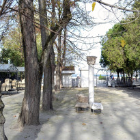 фото из отзыва ID 2688936