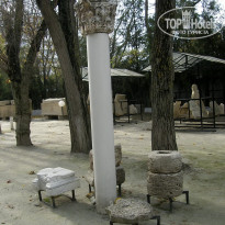 фото из отзыва ID 2688936