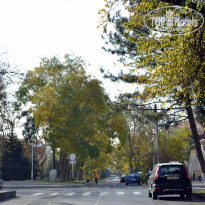 фото из отзыва ID 2688936