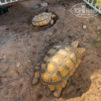 фото из отзыва ID 2685964