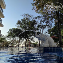 фото из отзыва ID 2689841