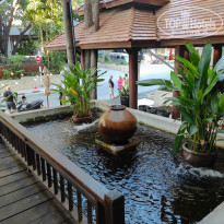 фото из отзыва ID 2689841