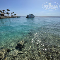 фото из отзыва ID 2689768