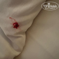 фото из отзыва ID 2685215