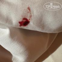 фото из отзыва ID 2685215