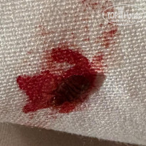 фото из отзыва ID 2685215