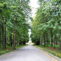 фото из отзыва ID 2681258