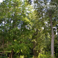 фото из отзыва ID 2681263