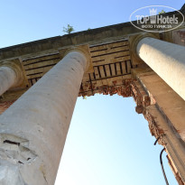 фото из отзыва ID 2681266