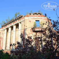 фото из отзыва ID 2681266