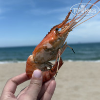 фото из отзыва ID 2689384