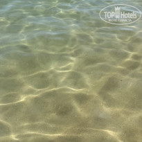 фото из отзыва ID 2689384