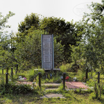 фото из отзыва ID 2681265