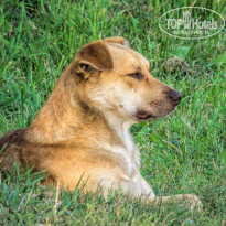 фото из отзыва ID 2681265