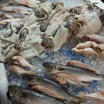 фото из отзыва ID 2685511