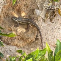 фото из отзыва ID 2685511