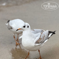 фото из отзыва ID 2689013