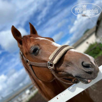 фото из отзыва ID 2688998