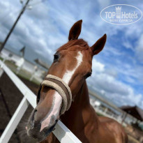 фото из отзыва ID 2688998