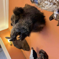 фото из отзыва ID 2688998