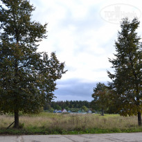 фото из отзыва ID 2686885