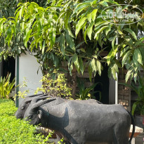 фото из отзыва ID 2684402