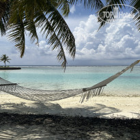 фото из отзыва ID 2684658