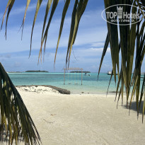 фото из отзыва ID 2684658