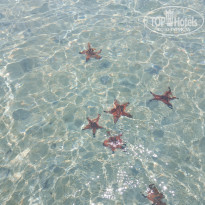 фото из отзыва ID 2688797