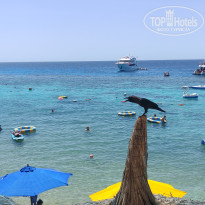 фото из отзыва ID 2690003