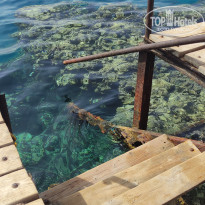 фото из отзыва ID 2690003