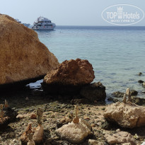 фото из отзыва ID 2690003